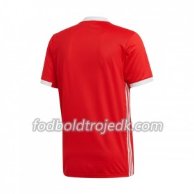 Benfica Hjemme 2019/20 - Fodboldtrøjer(S/S)